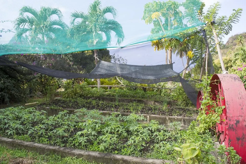 La Haut Resort Soufrière